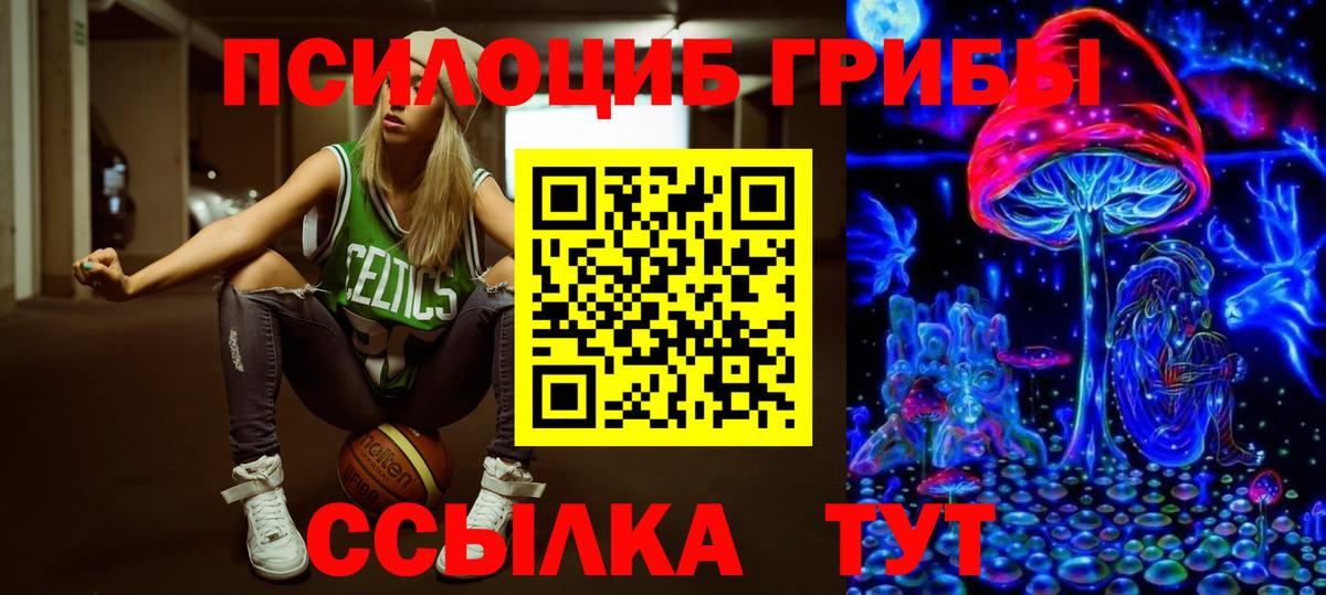 Галлюциногенные грибы GOLDEN TEACHER  Псилоцибиновые грибы Magic Shrooms  Вход с VPN  Хабаровск 